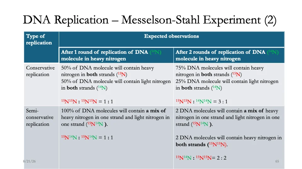 Slide 65