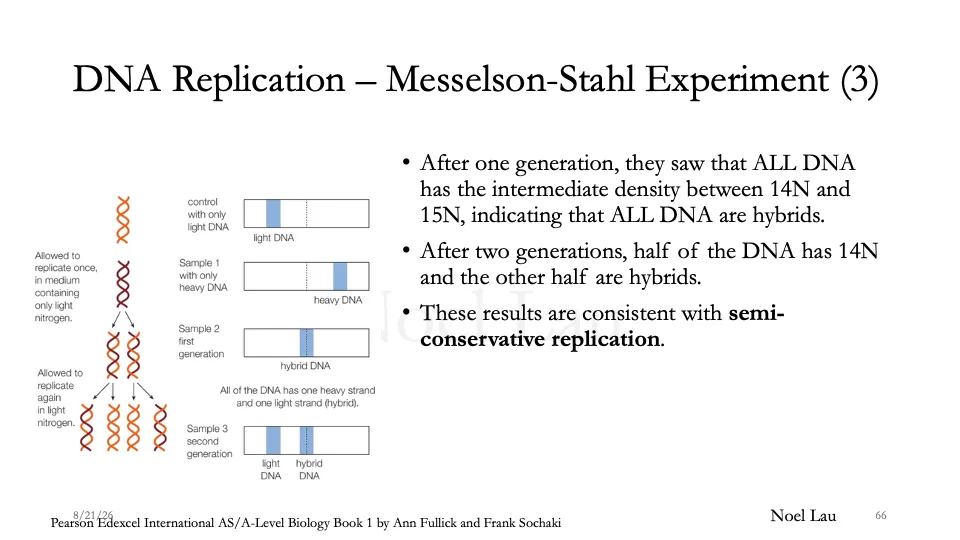 Slide 66