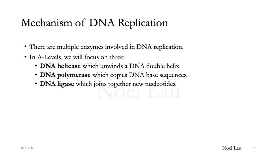 Slide 67