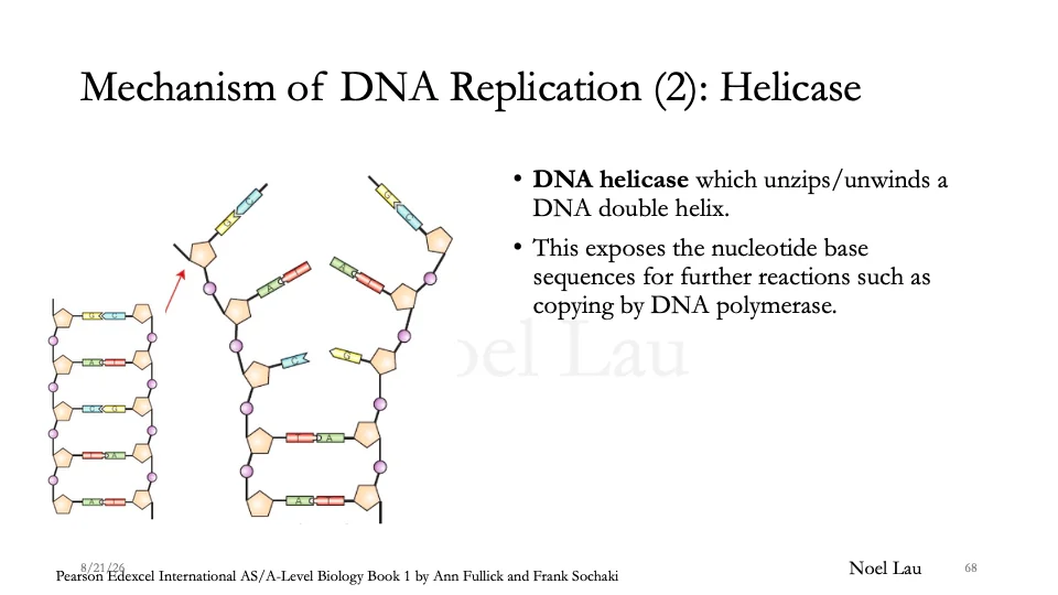Slide 68