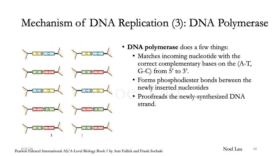 Slide 69