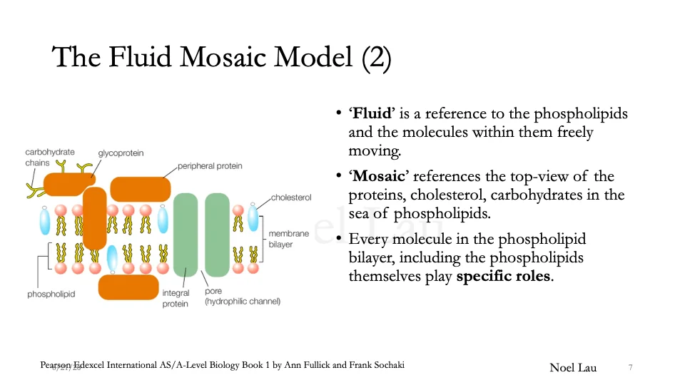 Slide 7