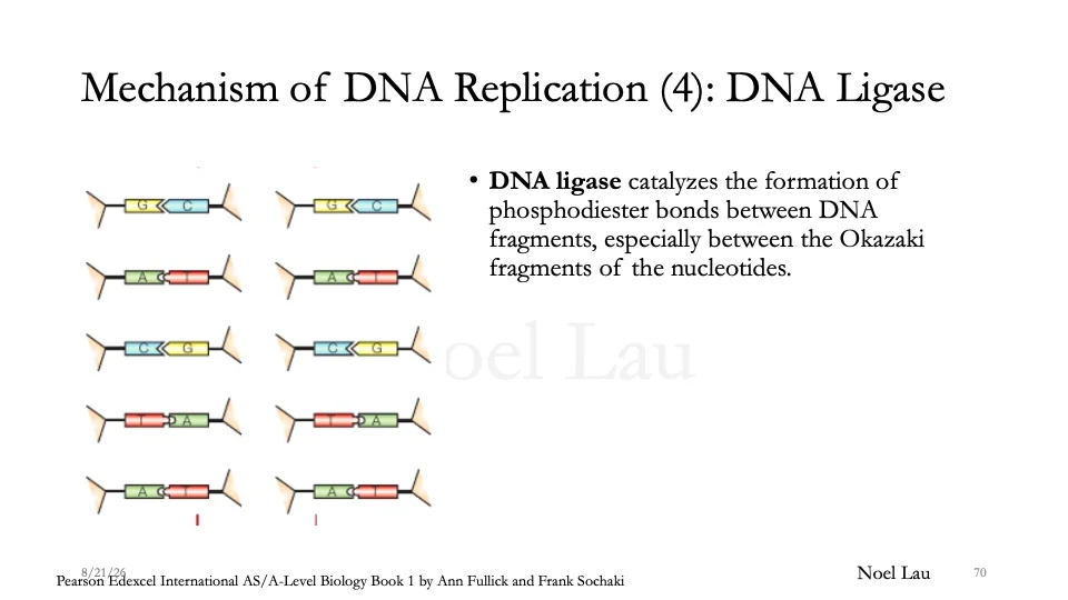Slide 70