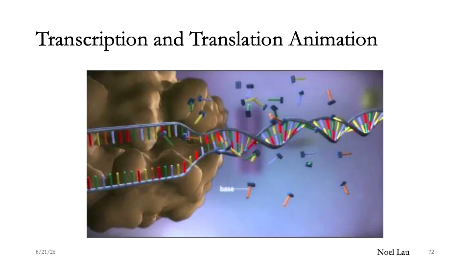 Slide 72