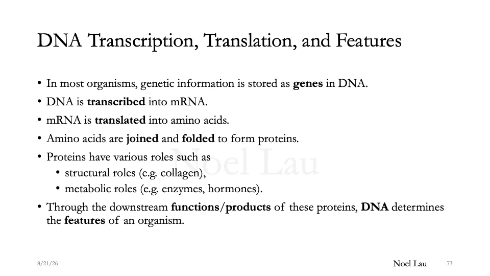 Slide 73