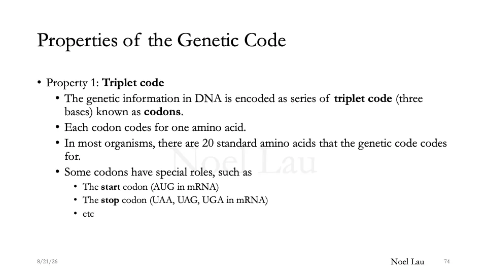 Slide 74