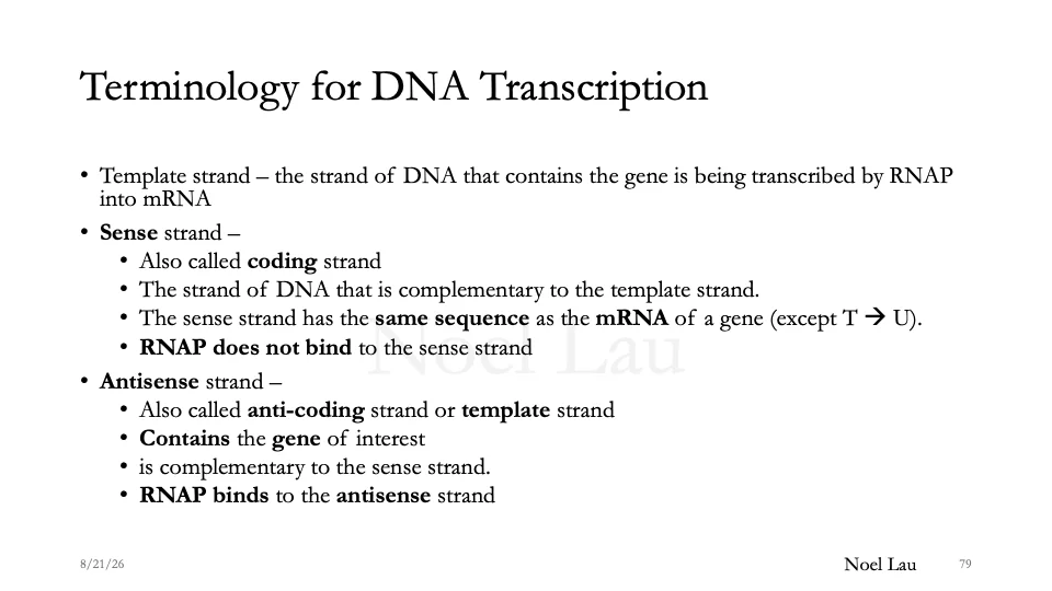 Slide 79