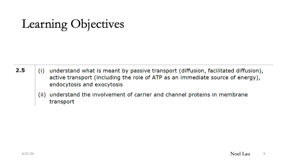 Slide 8