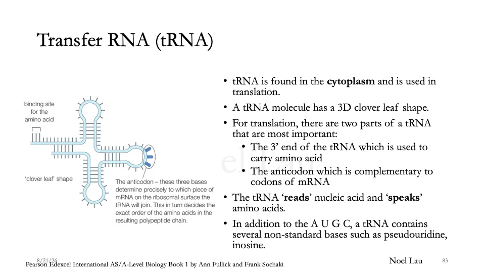 Slide 83