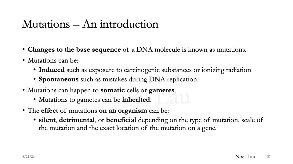 Slide 87