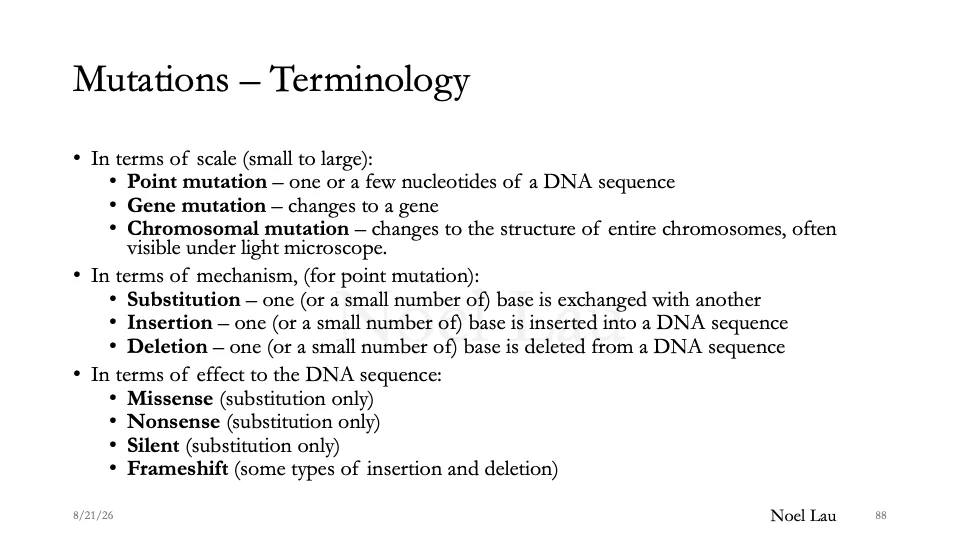 Slide 88