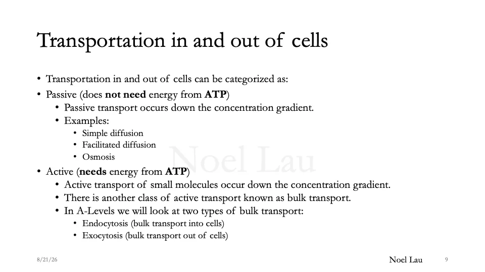 Slide 9