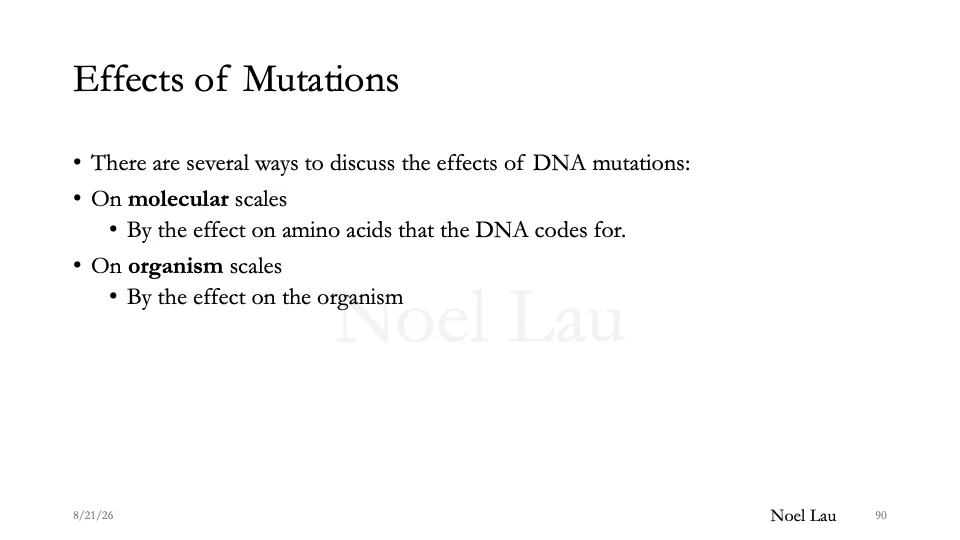 Slide 90