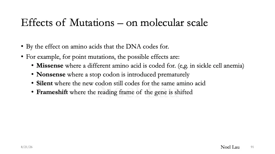 Slide 91