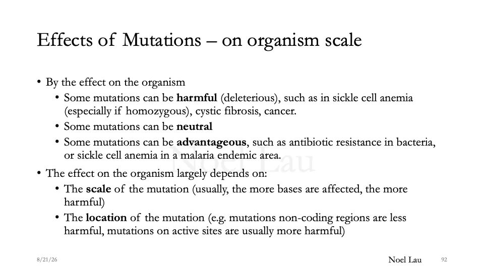 Slide 92