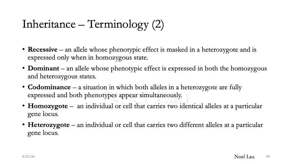 Slide 95