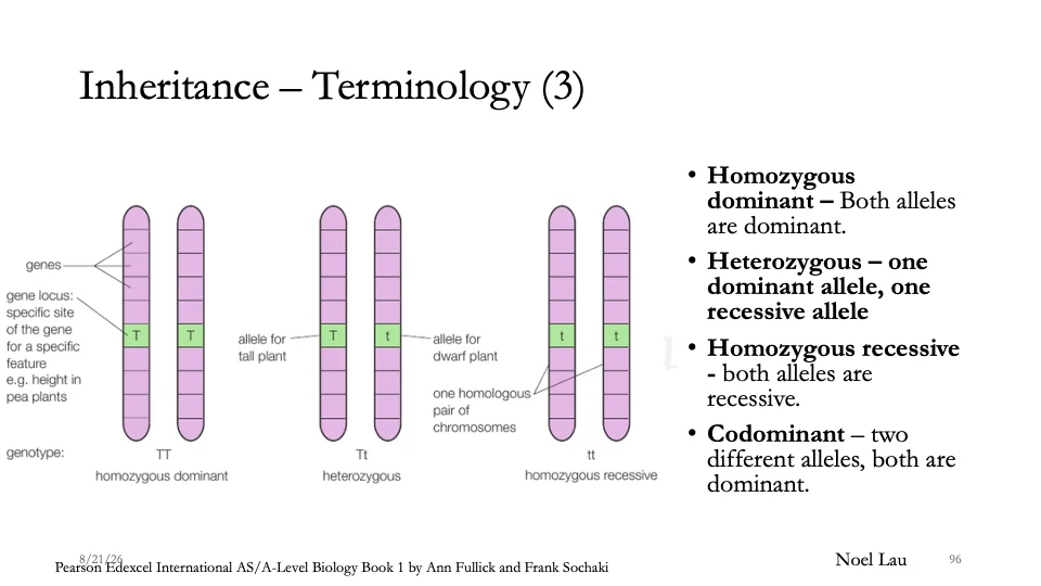 Slide 96
