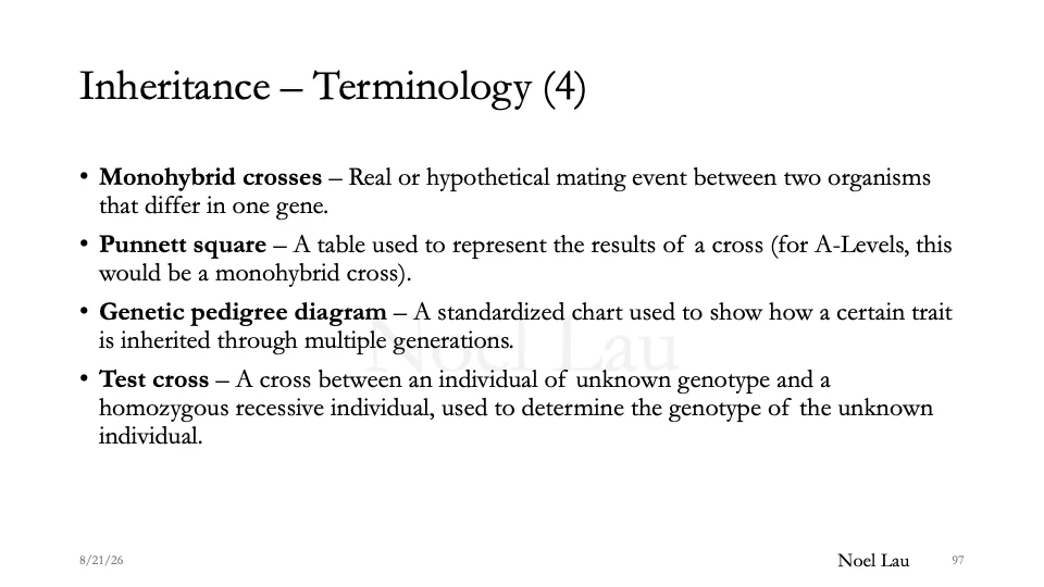 Slide 97