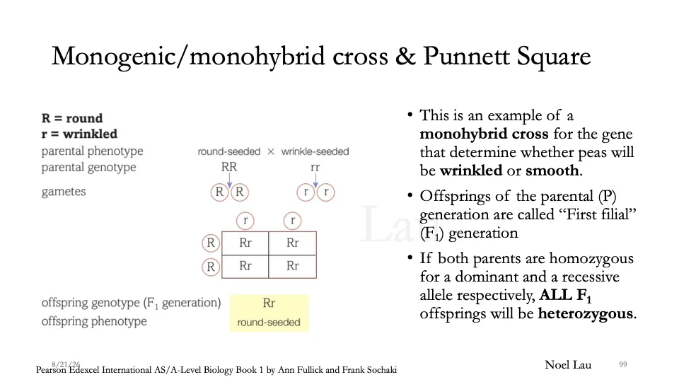 Slide 99