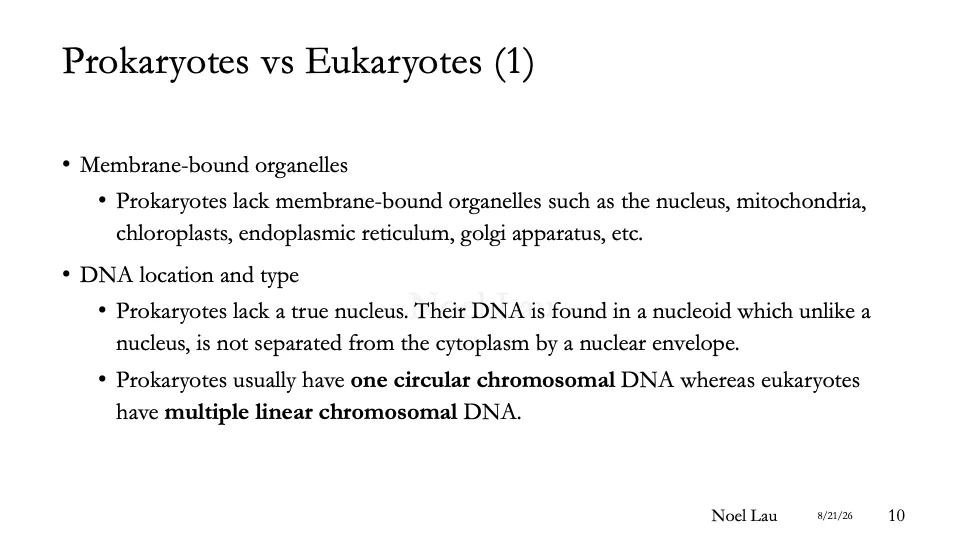 Slide 10