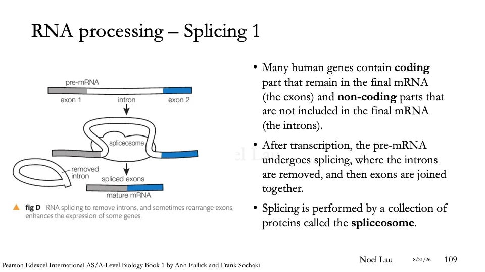 Slide 109