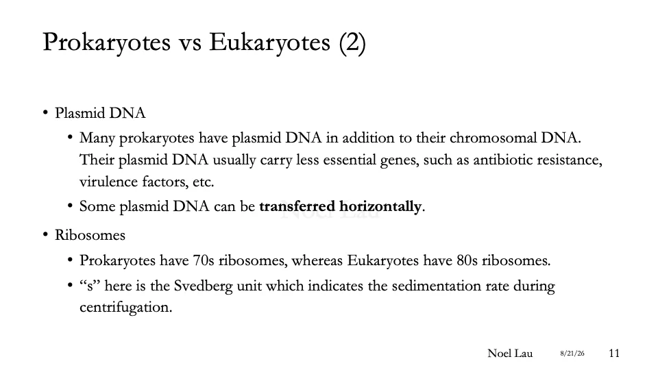 Slide 11