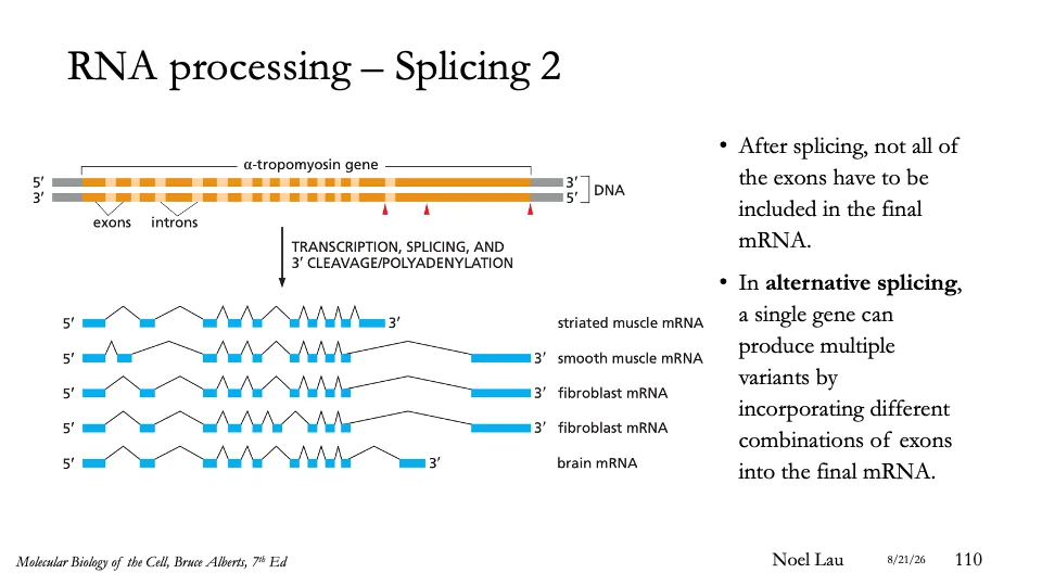 Slide 110