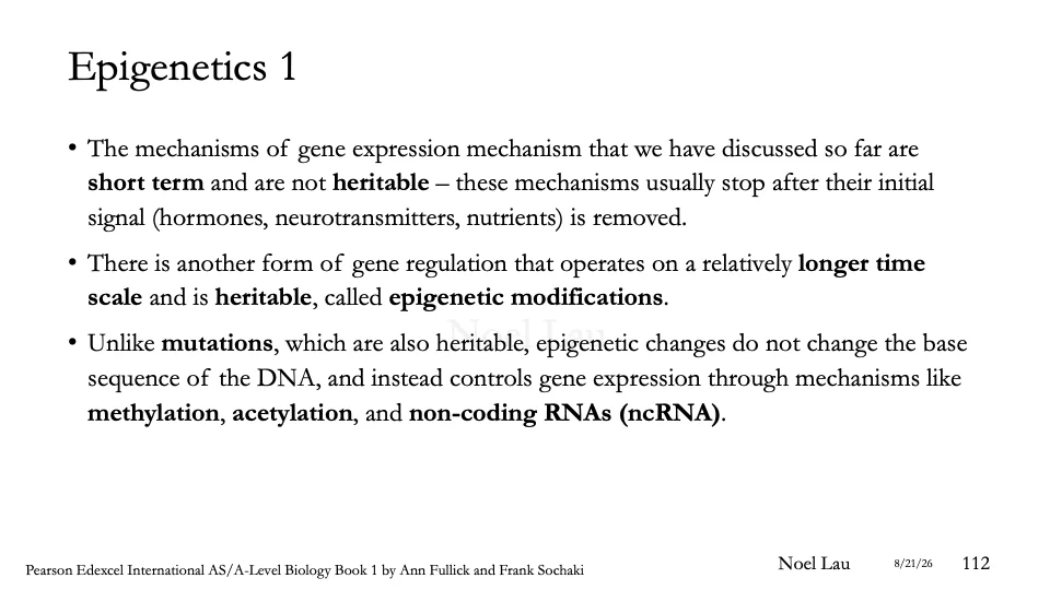 Slide 112