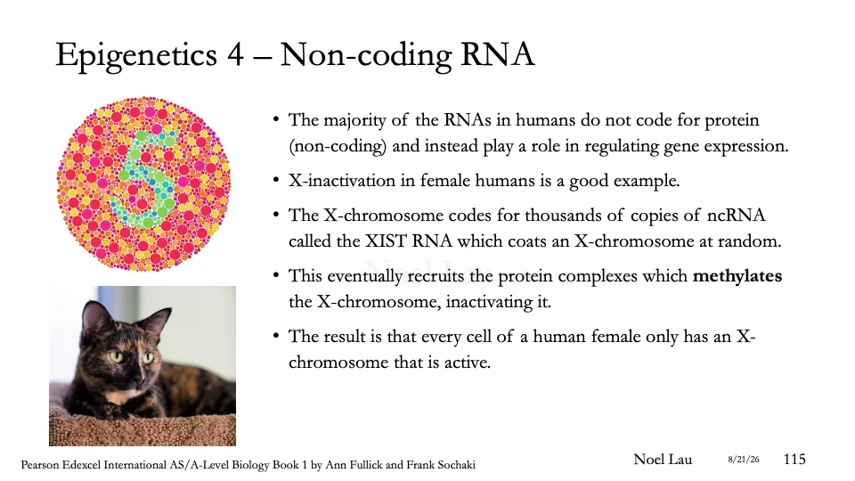 Slide 115