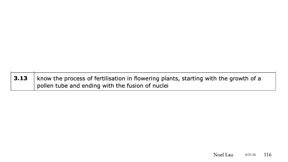 Slide 116