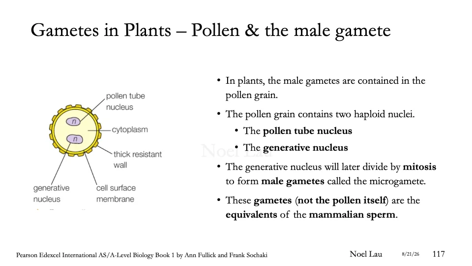 Slide 117