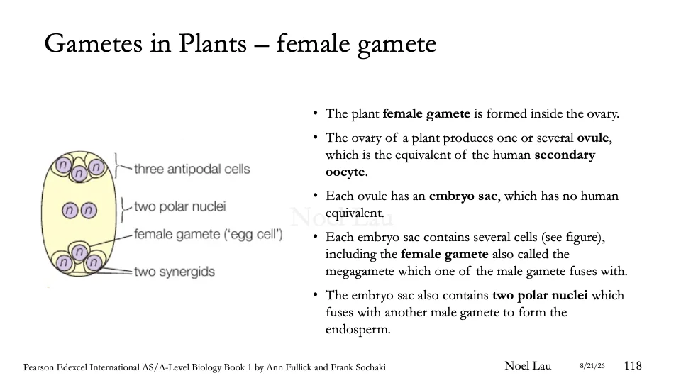 Slide 118