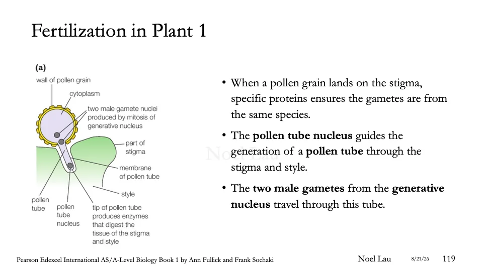 Slide 119