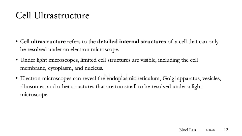 Slide 12