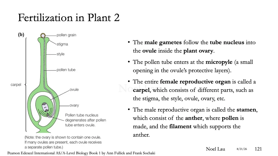 Slide 121