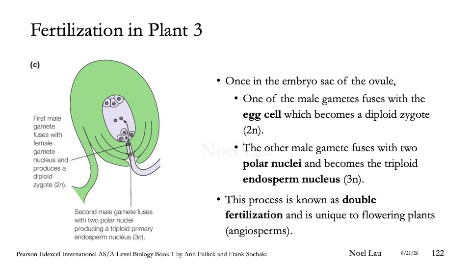 Slide 122