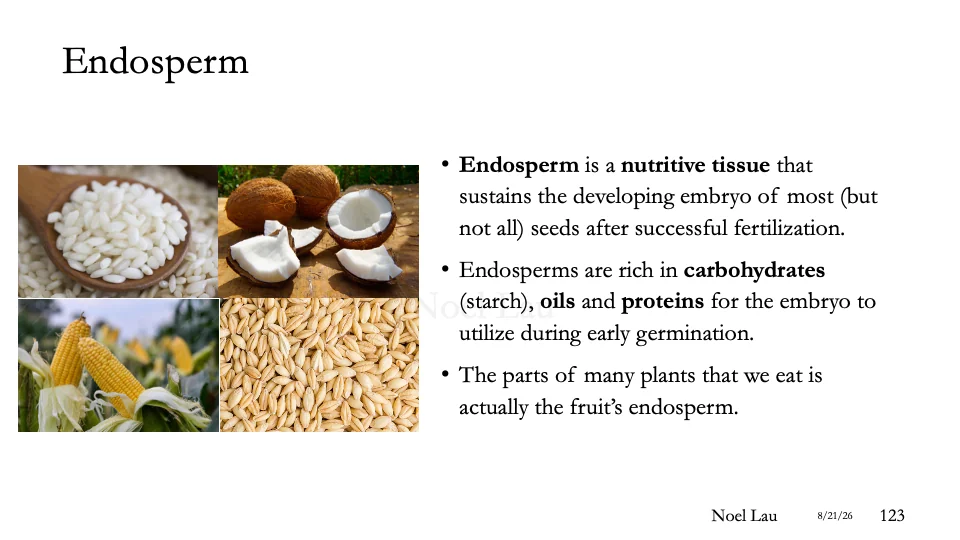 Slide 123