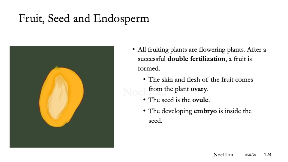 Slide 124
