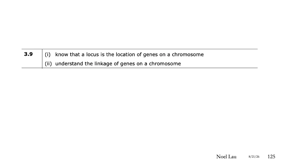 Slide 125