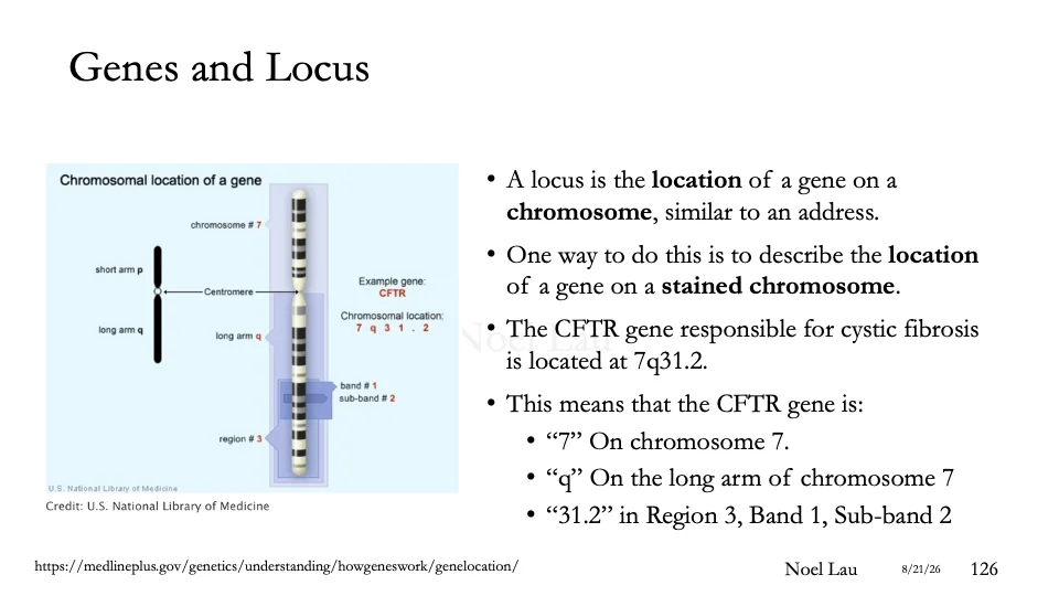 Slide 126