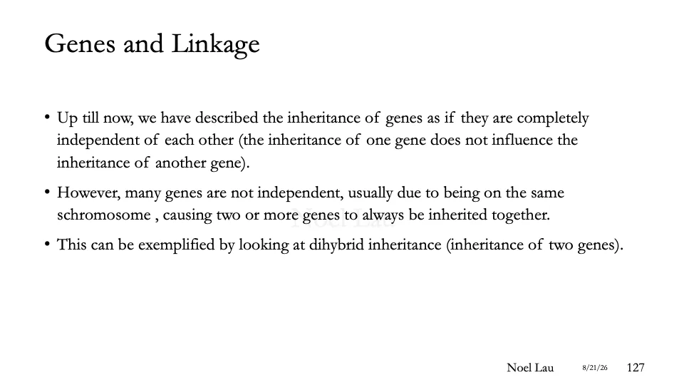 Slide 127