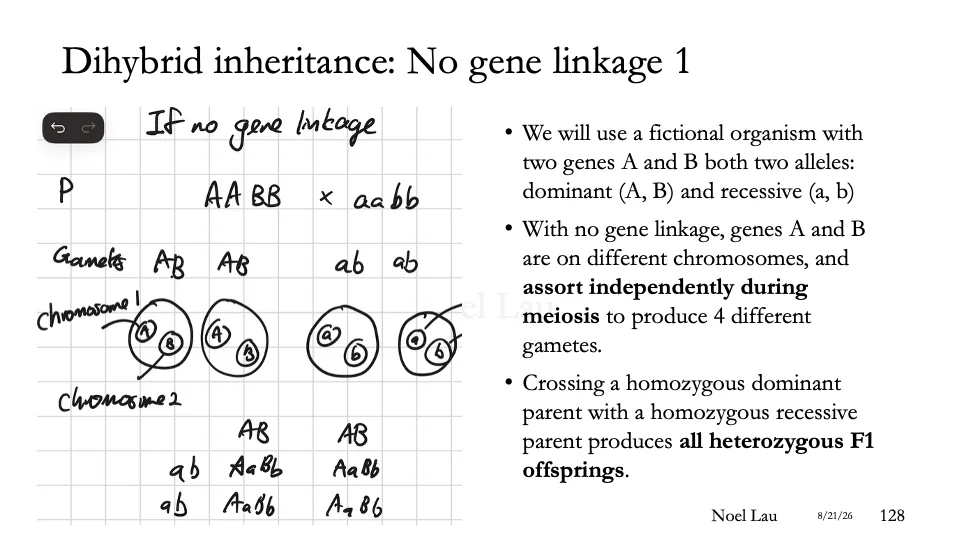 Slide 128