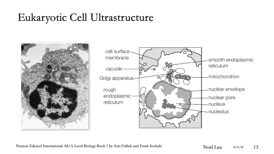 Slide 13