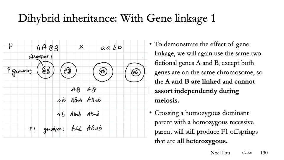 Slide 130
