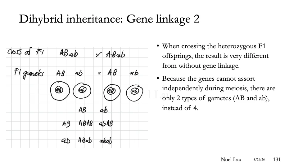 Slide 131