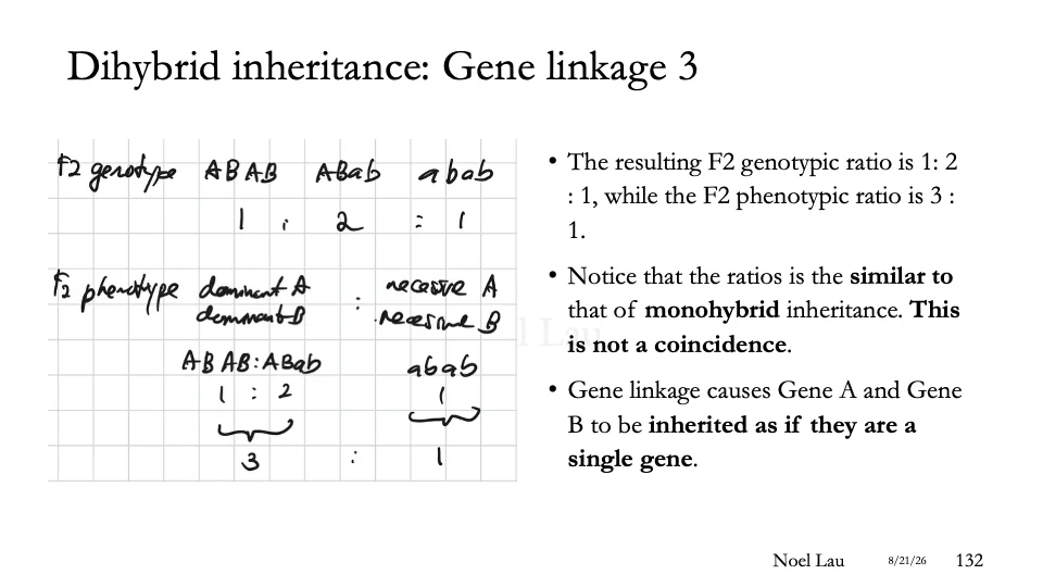 Slide 132