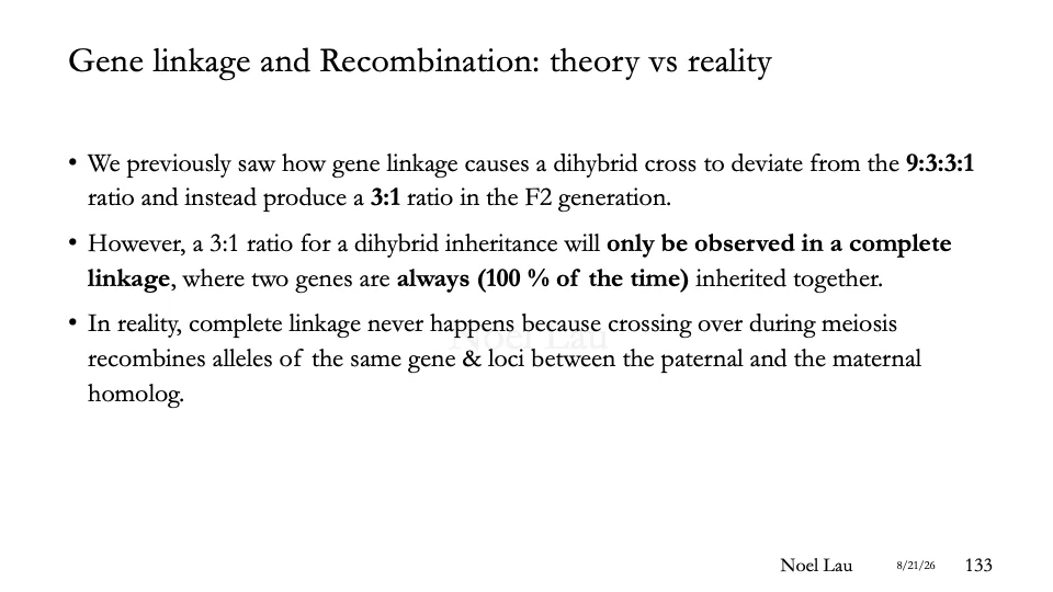 Slide 133