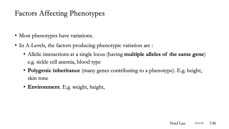 Slide 136