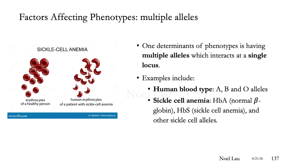 Slide 137