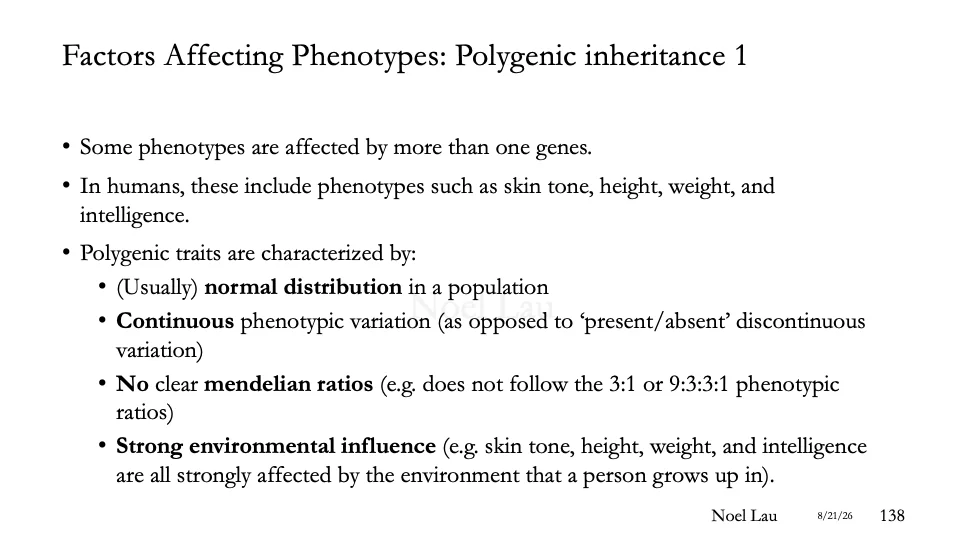 Slide 138
